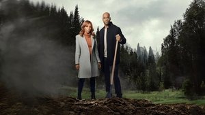 Morning Show Mysteries: Murder Ever After