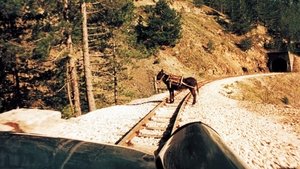 La vida es un milagro