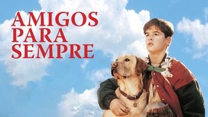 Far from Home: The Adventures of Yellow Dog