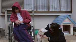 さくら