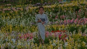 Los sueños de Akira Kurosawa