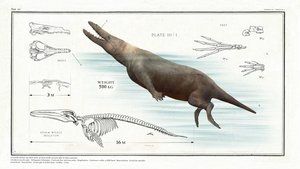 Big Beasts: Last of the Giants