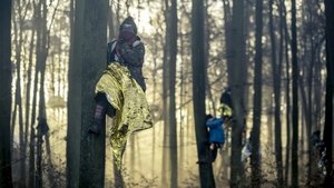 Barricade: Pictures of a Forest Occupation