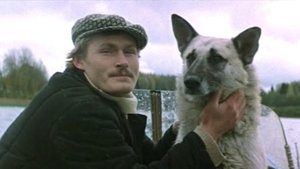 Ошибки юности