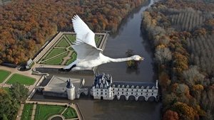 Wild France
