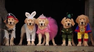 Truco, trato y Buddies