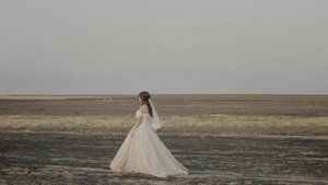 The Wedding Parade