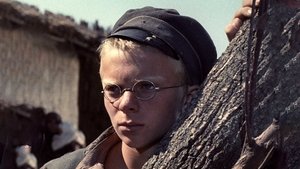 Неуловимые мстители