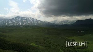 Kamchatka Bears. Life Begins
