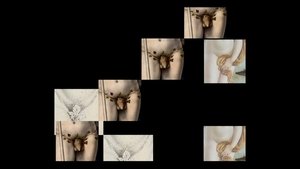 Cache-sexes : un jeu d'artiste