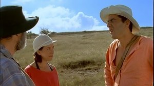 Du soleil pour les gueux