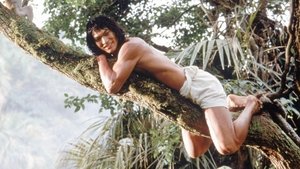El libro de la selva: la aventura continúa