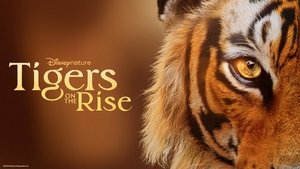 El resurgir de los tigres