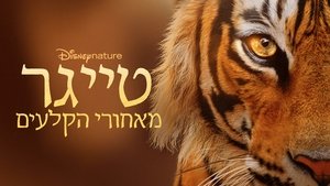 El resurgir de los tigres