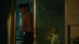 Bên Trong Vỏ Kén Vàng