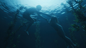 Los perros no llevan pantalones