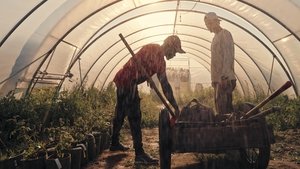 Farm Rebellion