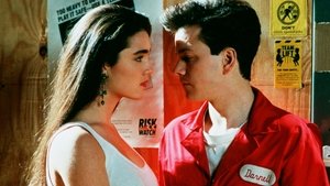 Career Opportunities