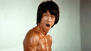 The Clones of Bruce Lee