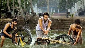 ఆయ్