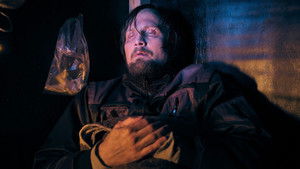 Seeland - Ein Krimi vom Bodensee: Dämonen