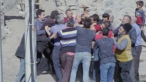 Los osos no existen