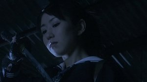 Onechanbara: The Movie, Chanbara Beauty