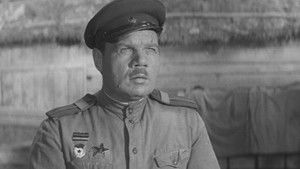 Fit for Non-Combatant