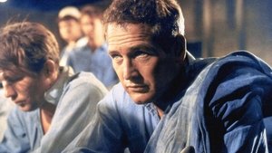Paul Newman: The Restless