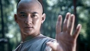 Master of Shadowless Kick: Wong Kei-Ying