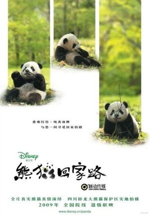 La senda del panda