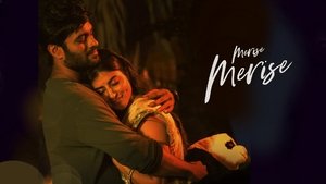 మెరిసే మెరిసే