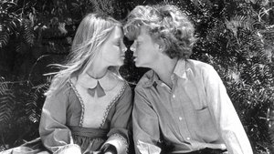 Las aventuras de Tom Sawyer