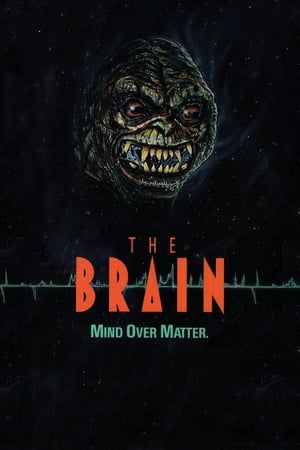 El cerebro