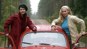 Rallybrudar