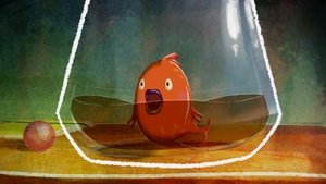 Camino de agua para un pez