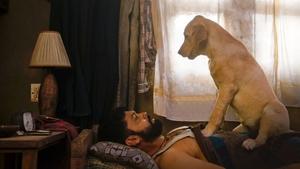 Charlie: Un Perro Especial