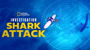 Investigation Shark Attack