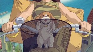 Koro's Big Day Out