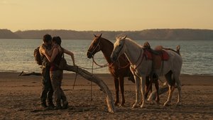Quest for Love