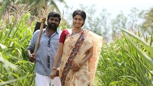 கருப்பன்