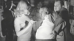 In Frankfurt sind die Nächte heiss