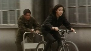 錯體追擊組合