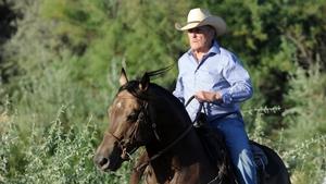 Caballos salvajes