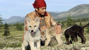 Lobo