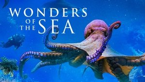 Wonders of the Sea 3D
