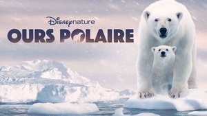 Osa Polar