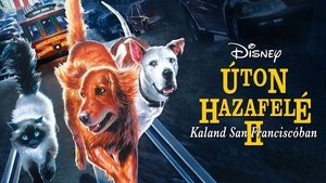 De vuelta a casa 2: Perdidos en San Francisco