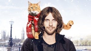 Un gato callejero llamado Bob