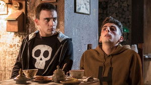 The Armadillo's Prophecy